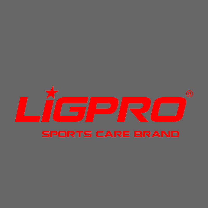 logo LIGPRO