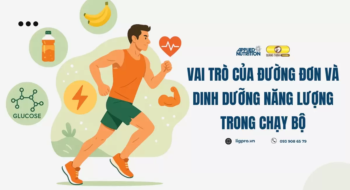 Vai Trò Của Đường Đơn Và Dinh Dưỡng Năng Lượng Trong Chạy Bộ