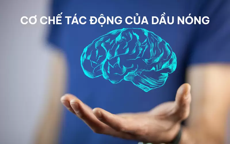 Dầu nóng xương khớp hoạt động như thế nào trên cơ thể bạn?