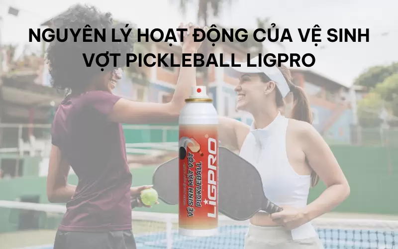 Nguyên lý hoạt động thực tế của xịt vệ sinh mặt vợt Pickleball
