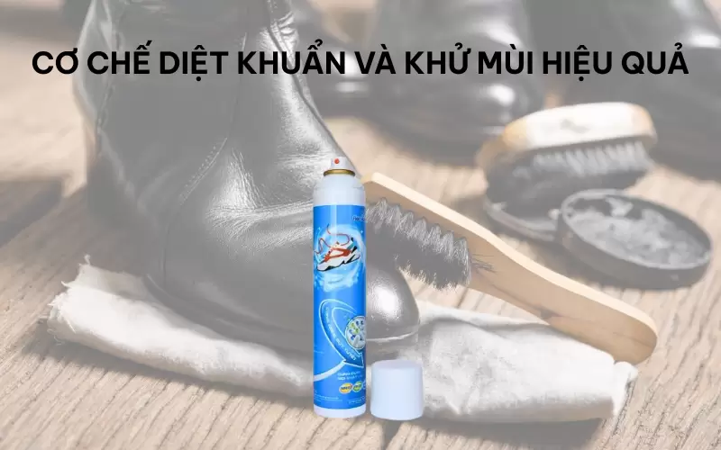 Cách xịt vệ sinh giày để làm sạch và diệt khuẩn hiệu quả