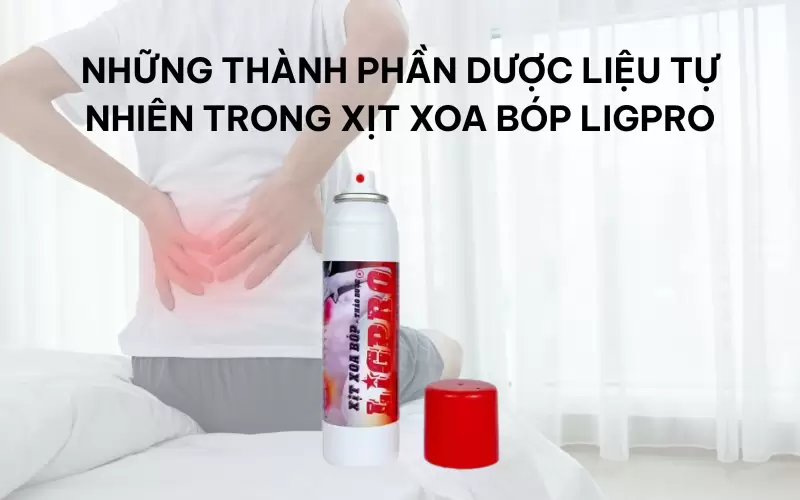 Những thành phần dược liệu tự nhiên trong xịt xoa bóp Ligpro