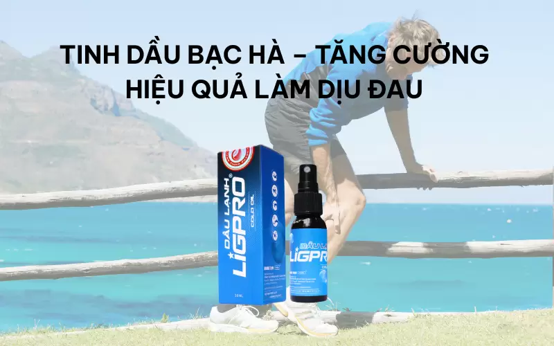 Khám phá các chiết xuất chính trong dầu lạnh thể thao Ligpro