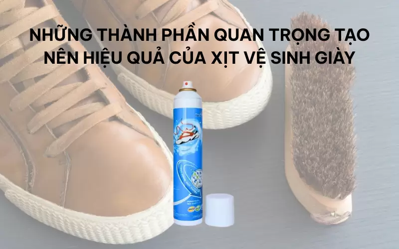 Những thành phần quan trọng tạo nên hiệu quả của xịt vệ sinh giày