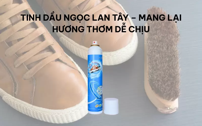 Những thành phần quan trọng tạo nên hiệu quả của xịt vệ sinh giày