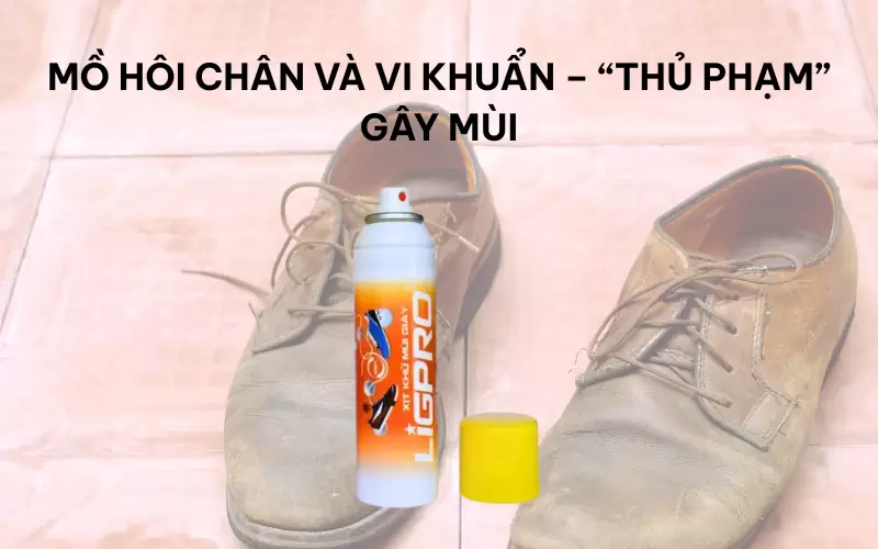 Nguyên nhân khiến giày thường có mùi hôi khó chịu và cách xử lý
