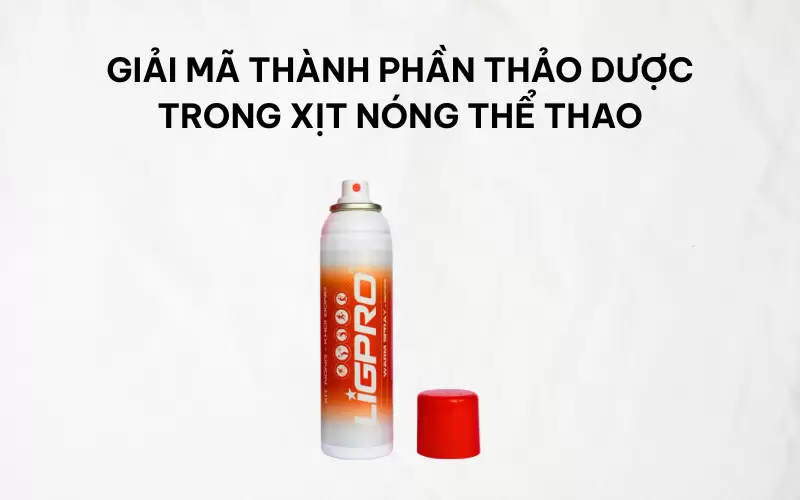 Giải mã thành phần thảo dược trong xịt nóng thể thao