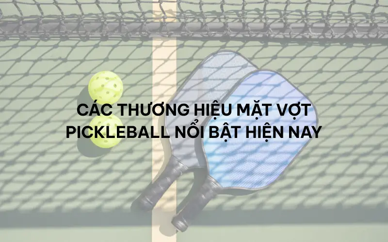 Các thương hiệu mặt vợt Pickleball nổi bật hiện nay