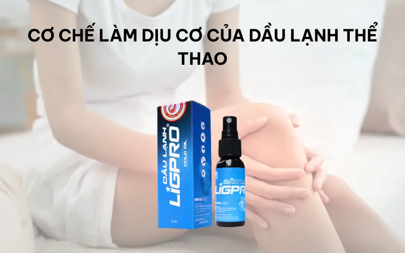 Dầu lạnh thể thao và bí quyết giảm đau cơ hiệu quả sau tập luyện