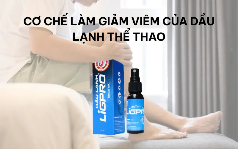 Hỗ trợ giảm sưng viêm cơ khớp với dầu lạnh thể thao Ligpro