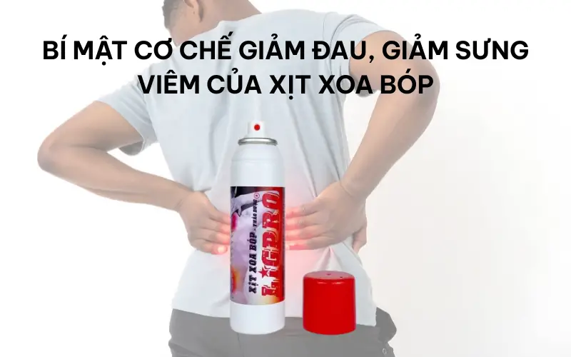 Bí mật cơ chế giảm đau, giảm sưng viêm của xịt xoa bóp