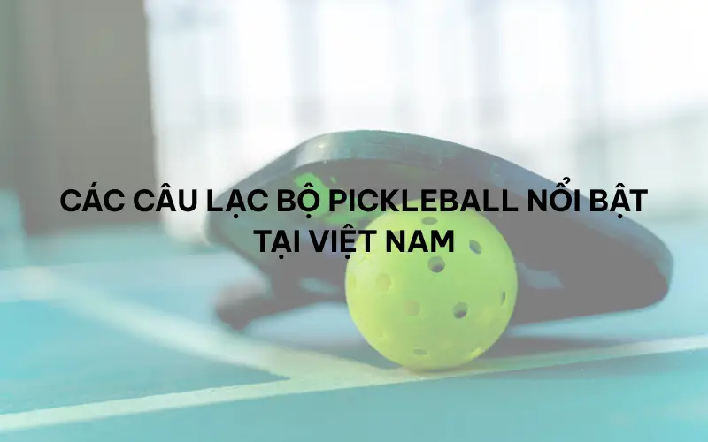 Các câu lạc bộ pickleball nổi bật tại Việt Nam