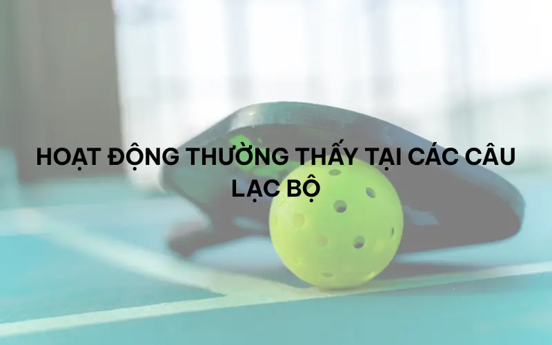 Các câu lạc bộ pickleball nổi bật tại Việt Nam
