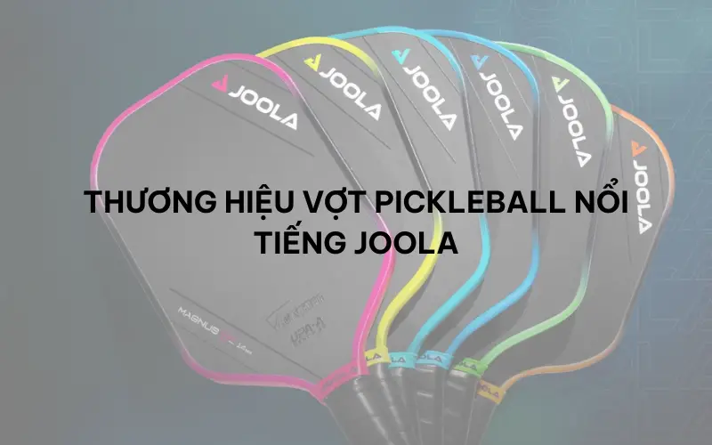 Các thương hiệu mặt vợt Pickleball nổi bật hiện nay