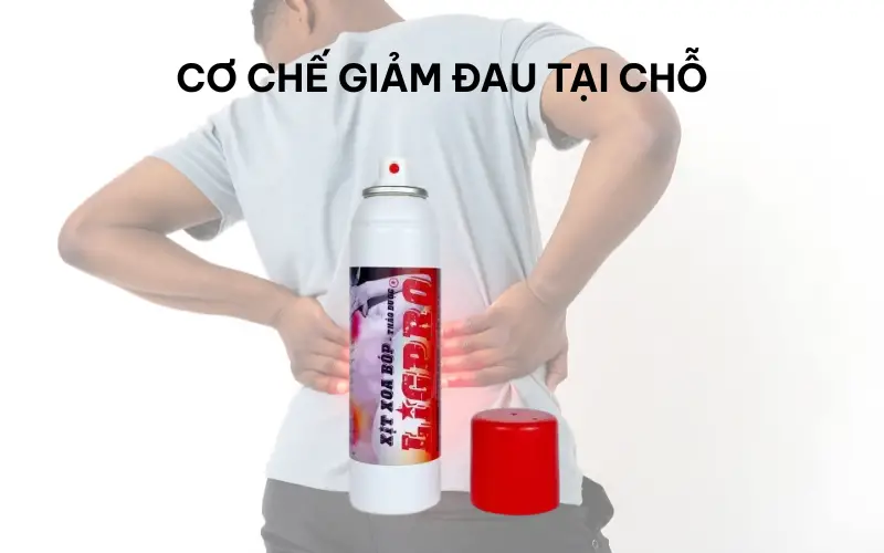 Bí mật cơ chế giảm đau, giảm sưng viêm của xịt xoa bóp