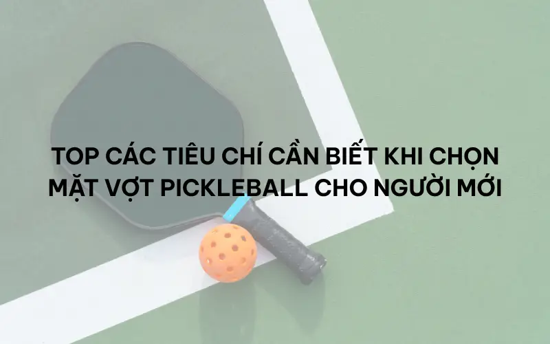Top các tiêu chí cần biết khi chọn mặt vợt pickleball cho người mới