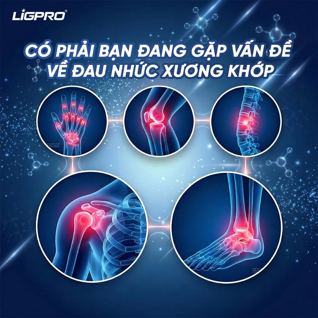 Gel Lạnh Giảm Đau Ligpro 100ml – Giải Pháp Đột Phá Trong Điều Trị Chấn Thương Thể Thao Và Hồi Phục Cơ Bắp Chuyên Sâu
