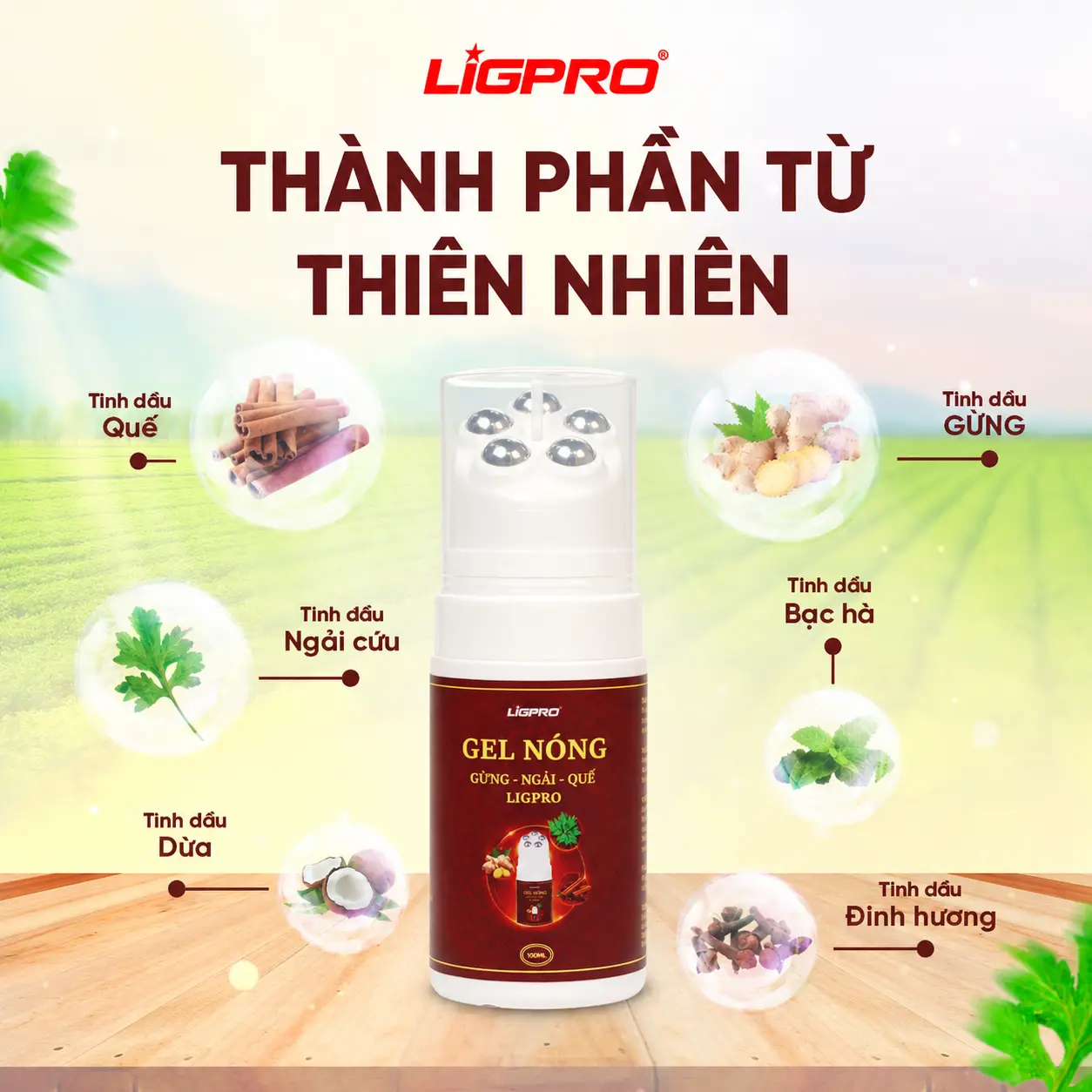 Gel Nóng Gừng Ngải Quế Ligpro