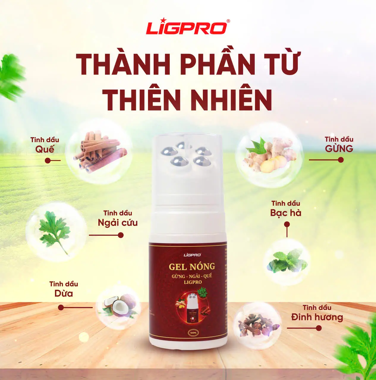 Gel Nóng Gừng Ngải Quế Ligpro