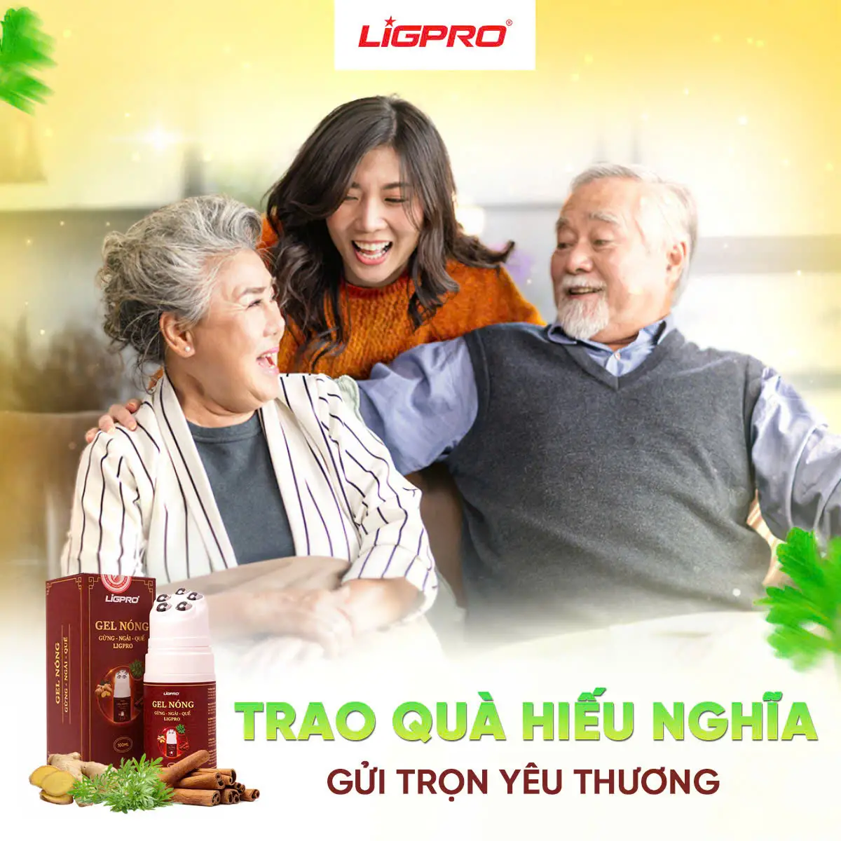 ligpro-vn-aq5r7IQM1P Gel Nóng Gừng Ngải Quế Ligpro