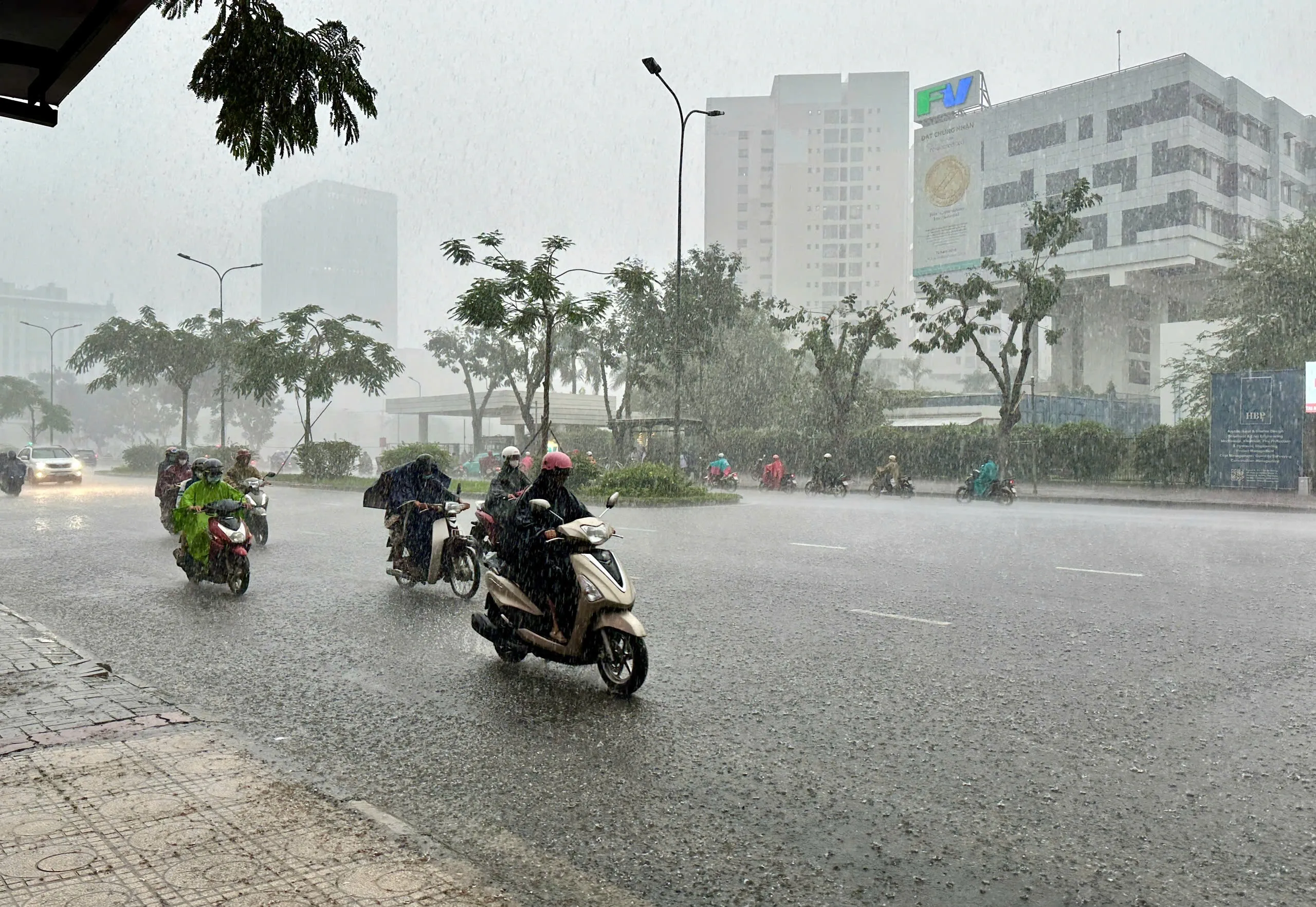 Nguyên nhân khiến giày bị hôi là gì? Cách nhận biết, phòng ngừa và khử mùi giày hiệu quả tại nhà