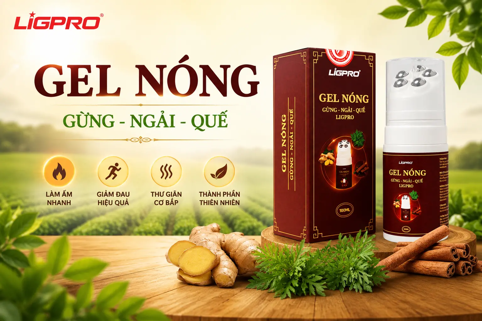 Gel Nóng Gừng Ngải Quế Ligpro – Giải Pháp Thảo Dược Massage Giảm Đau Nhức Toàn Diện