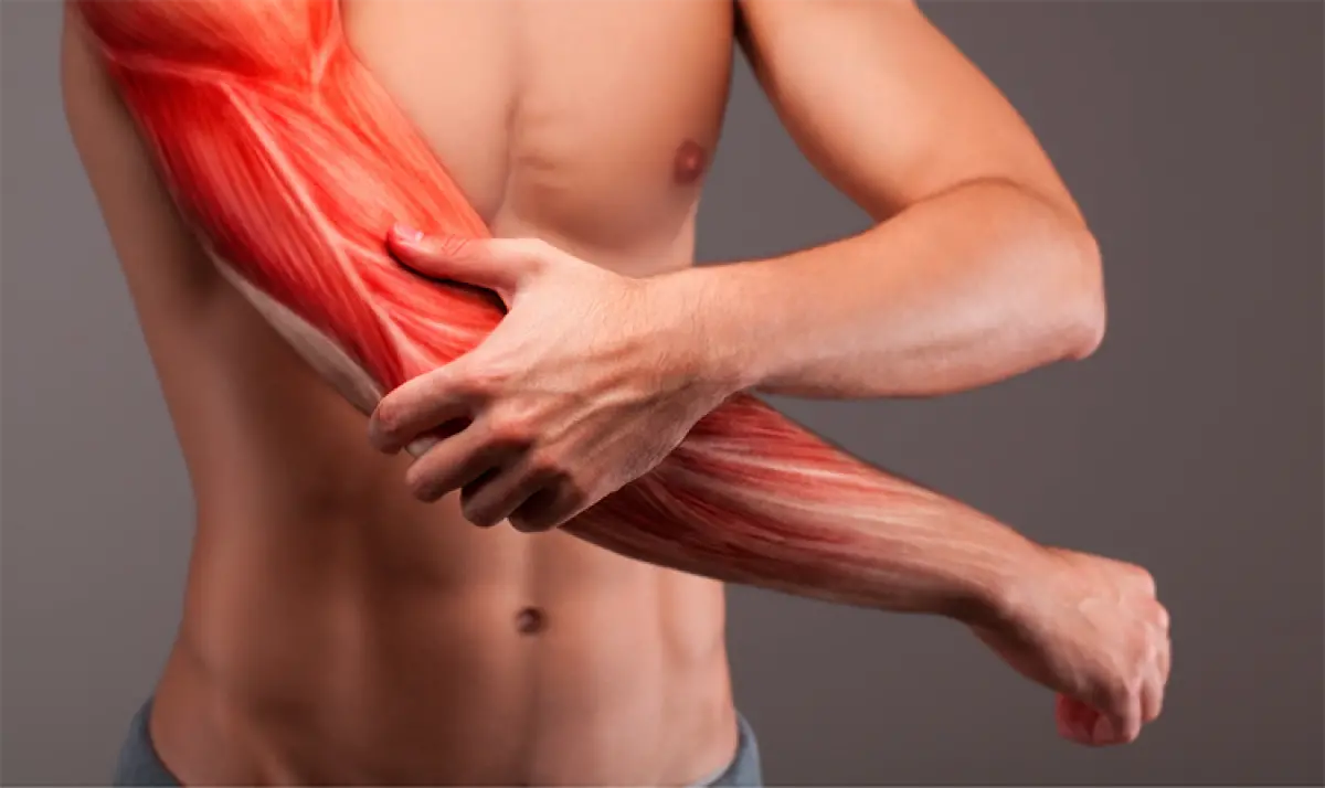 Mới Tập Gym Bị Đau Cơ Có Nguy Hiểm Không? Sự Thật Về Hội Chứng DOMS Và Cách Phục Hồi Thần Tốc