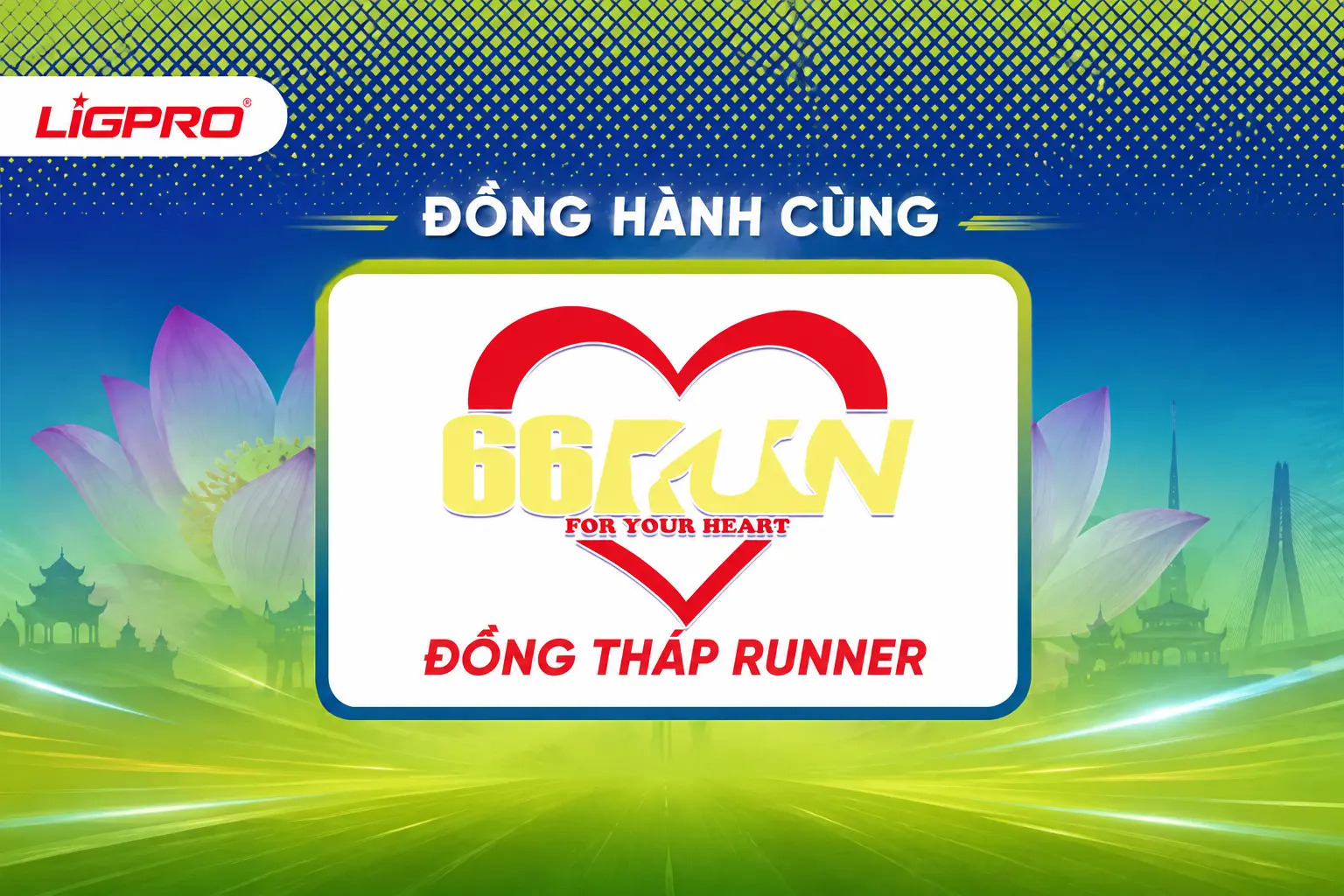 Ligpro Đồng Hành Cùng Đồng Tháp Runners: Tiếp Sức Những Bước Chân Bứt Phá Nơi Xứ Sen Hồng