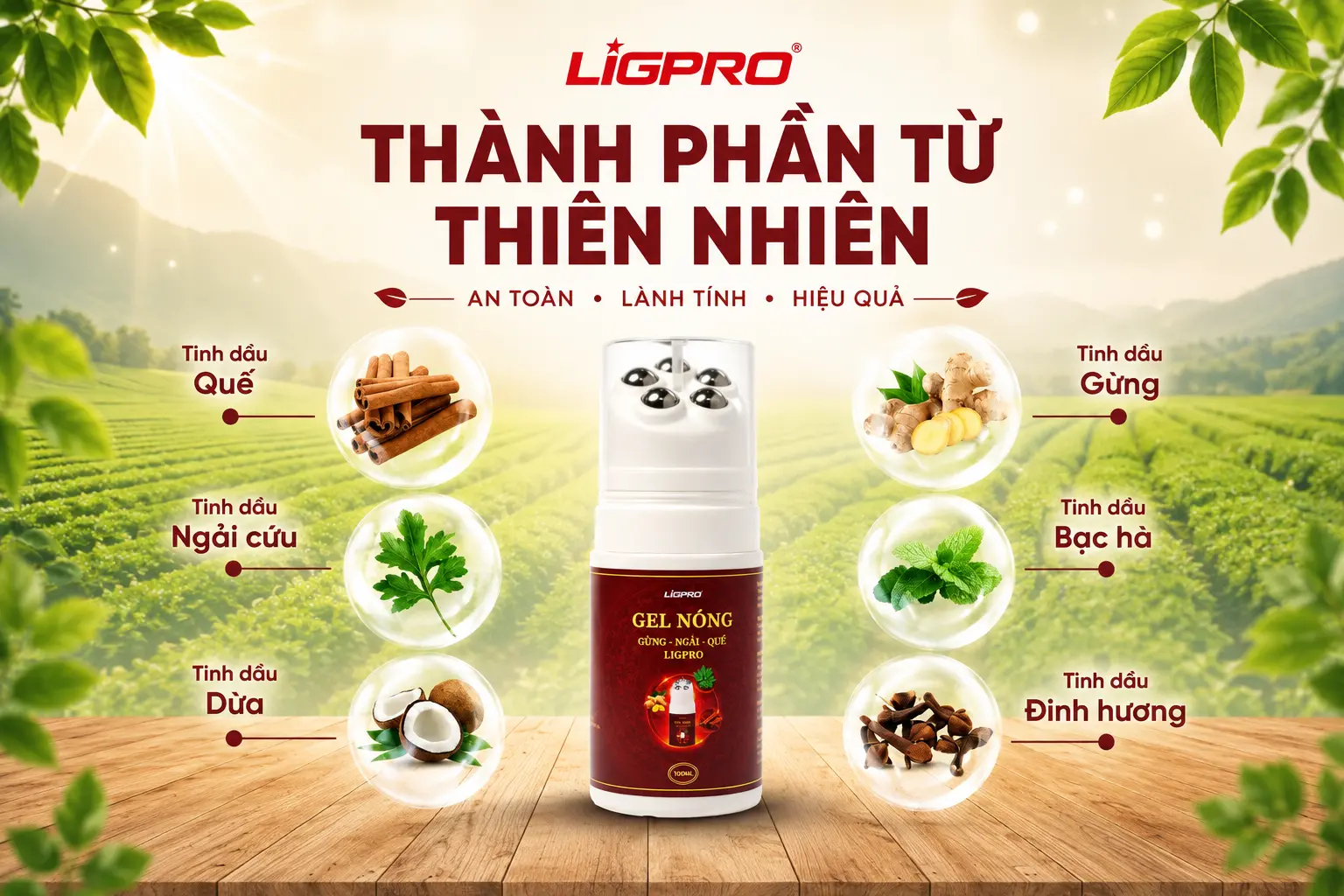 Gel Nóng Gừng Ngải Quế Ligpro – Giải Pháp Xoa Bóp Massage Đầu Bi Lăn Độc Đáo Giúp Thư Giãn & Chăm Sóc Cơ Thể