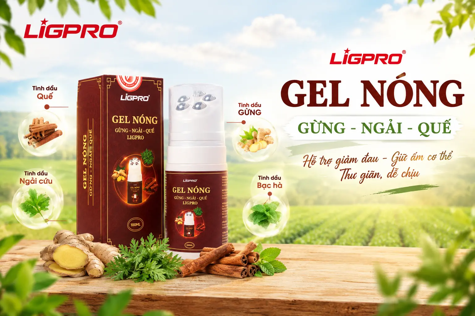 Gel Nóng Massage Ligpro – Giải Pháp Giảm Đau Nhức Xương Khớp Và Thư Giãn Cơ Bắp Tự Nhiên