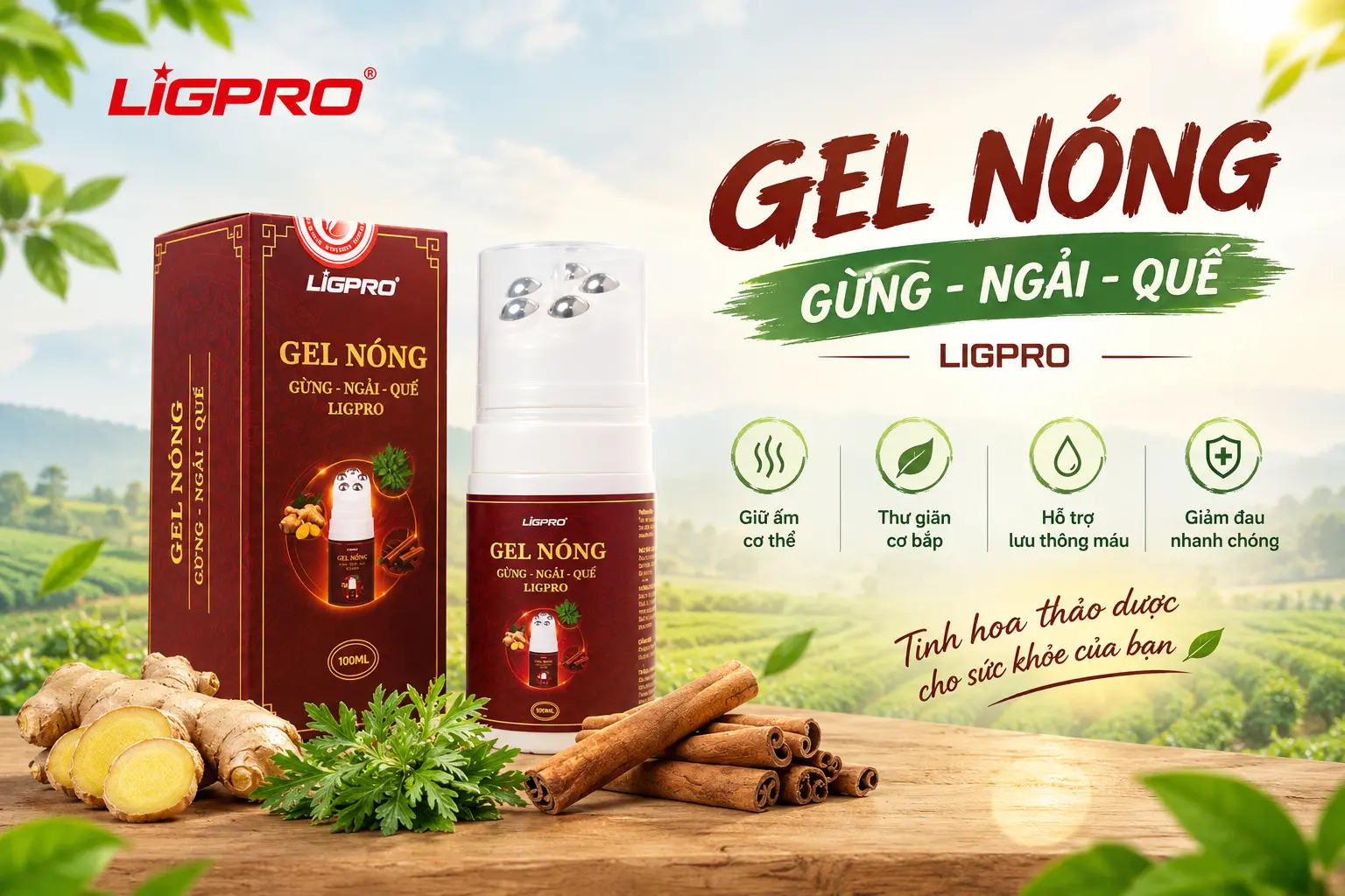 Gel Nóng Xoa Bóp Ligpro: Bí Quyết Giảm Đau Nhức Xương Khớp Và Cách Giảm Đau Mỏi Cổ Vai Gáy Hiệu Quả