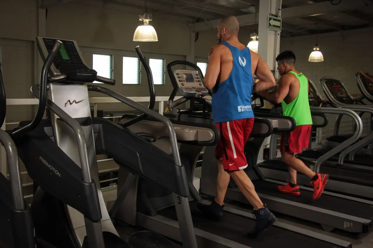 Chỉ Cần Tập Cardio Là Đủ Để Có Thể Lực Tốt? Hướng Dẫn Luyện Tập Toàn Diện Theo Khoa Học Thể Thao
